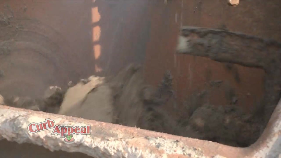 Curb Appeal Promotion